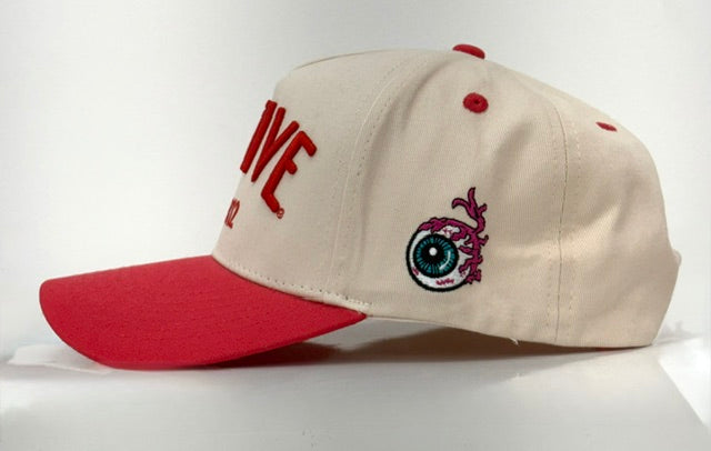 Nº812 Indiana Hoosiers Hat *Limited to Only /50