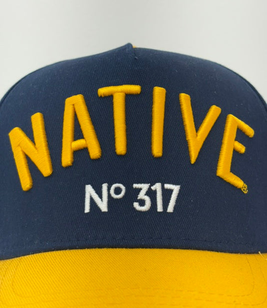 Nº317 Pacers / Fever Hat *Limited to Only /50